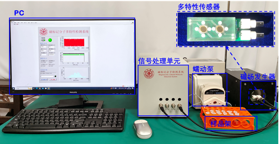 图3检测系统.png